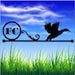 Augustus Forrest