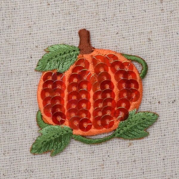 Sequin Pumpkin with Vine - Gourds - Iron on Applique - Embroidered Patch - 154129A