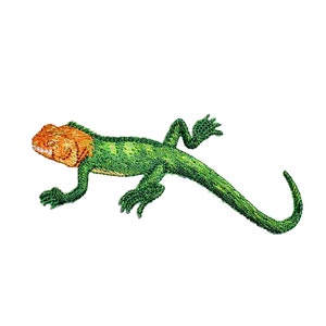 May include: Green and orange embroidered lizard with a long tail, perfect for adding a touch of nature to your crafts.