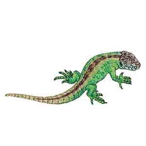 Pode incluir: Um lagarto verde e castanho com um padrão listrado nas costas. O lagarto tem um focinho pontudo e uma cauda longa.
