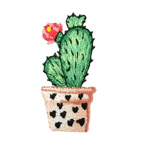 Pianta di cactus in vaso, succulenta, toppa ricamata da stirare