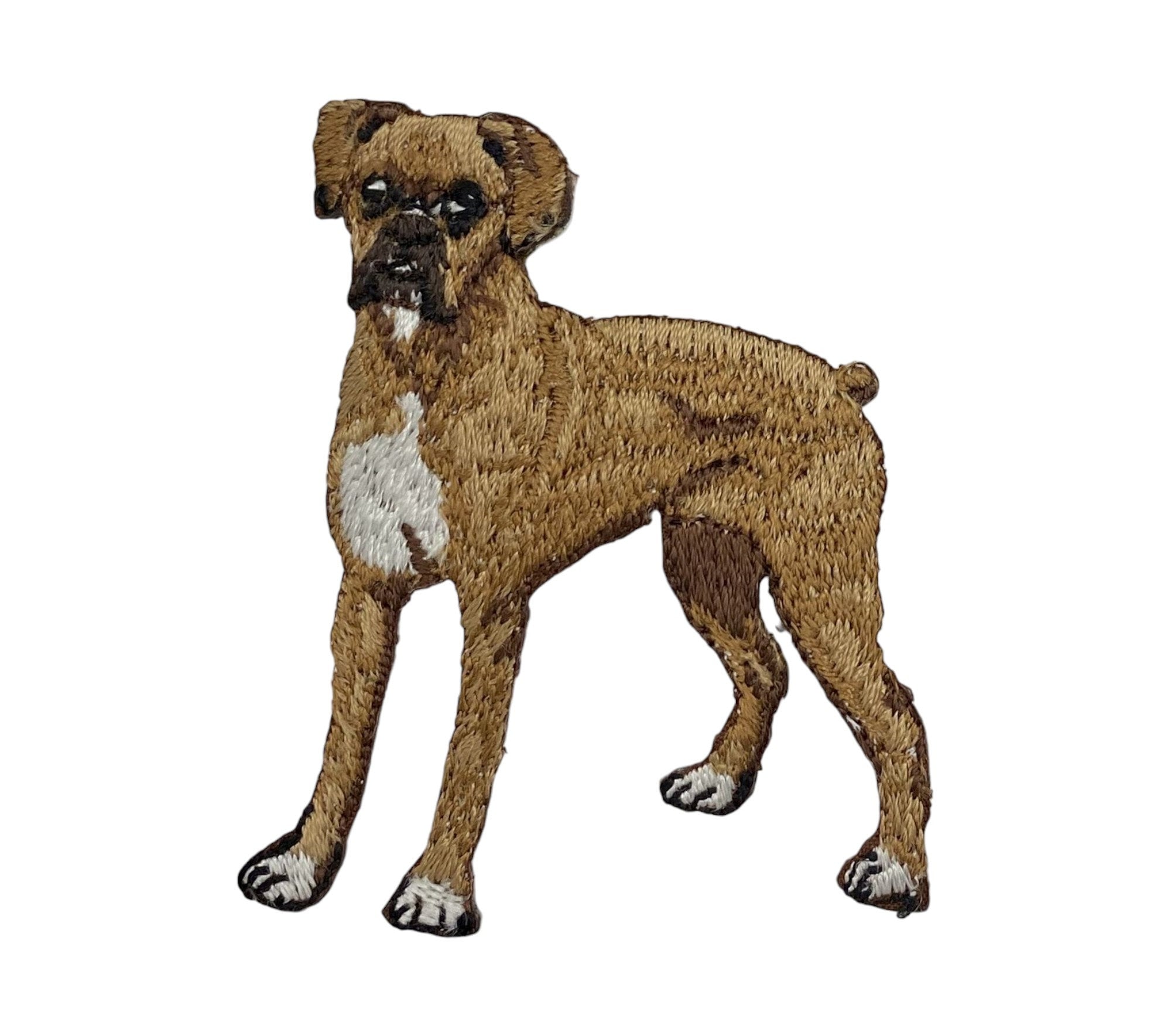 Razza Del Cane Di Cane Corso Illustrazione Vettoriale - Illustrazione - Foto 6