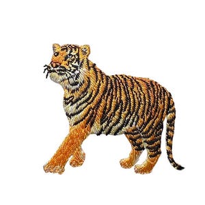 May include: Embroidered iron-on patch of an orange and black tiger with black stripes. The tiger is walking with its head turned to the side.