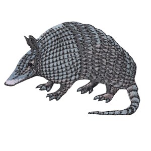 Op de afbeelding: Een geborduurde gordeldier in grijs en zwart met een lange staart. Het gordeldier loopt op alle vier poten en heeft een getextureerde schil.