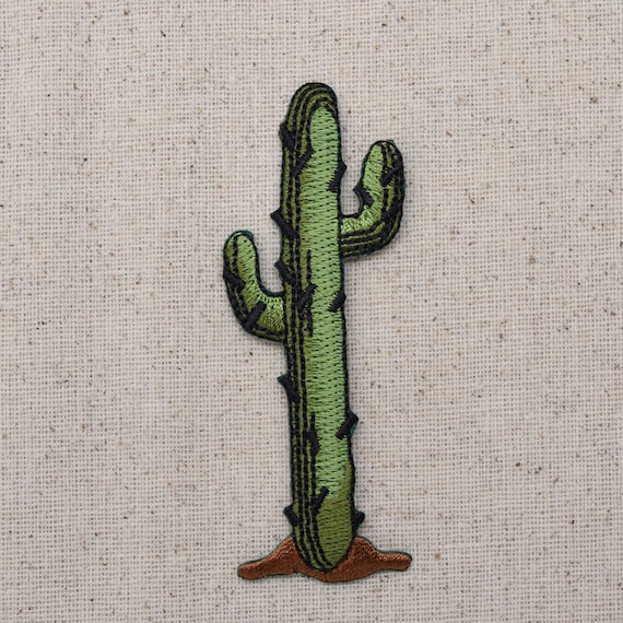 kaktus pinata Mexican cactus piñata – MesaChic main image 1
