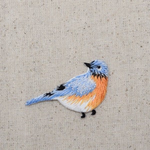 May include: Embroidered bluebird with a light blue and orange chest, perched on a beige fabric background.