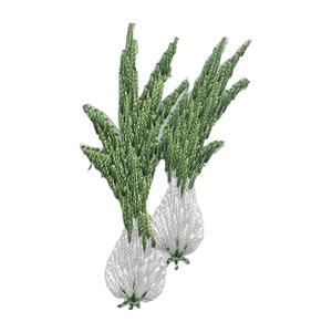 May include: Two white embroidered garlic bulbs with green embroidered stems.
