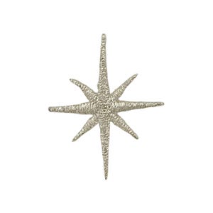 Può includere: Un ornamento a forma di stella argentata a otto punte con un design a rete metallica.
