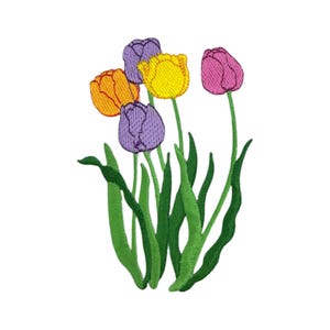May include: An embroidered design of a bouquet of five tulips in shades of purple, yellow, orange, and pink. The tulips have green stems and leaves.