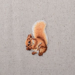Squirrel - Brown - Facing Left - With Nuts - Acorn - Embroidered Patch - Iron on Applique - 155463-A