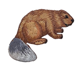 May include: Embroidered patch of a brown beaver with a gray tail. The beaver is lying on its side with its head turned to the right.