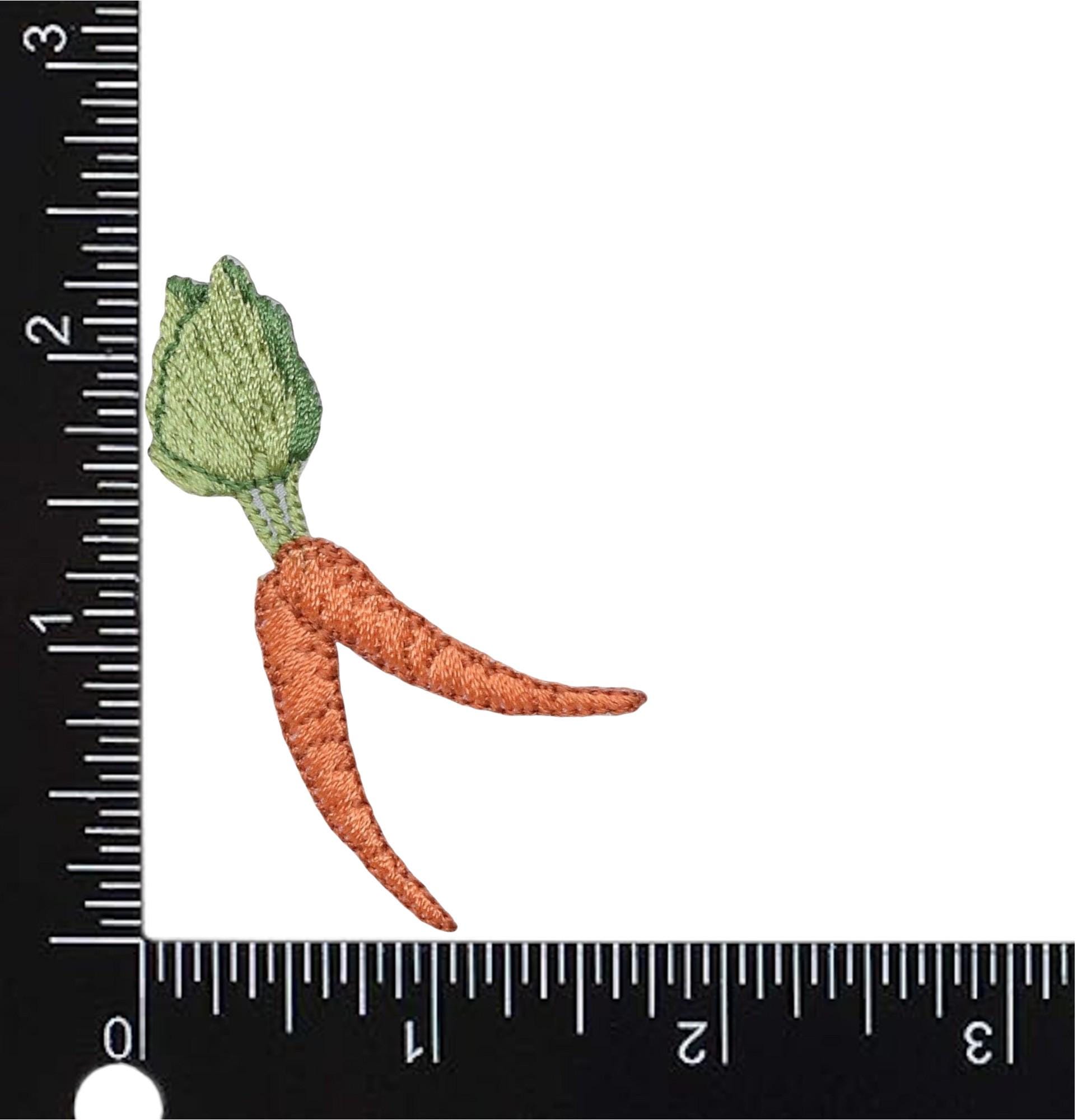 PATCH TOPPA RICAMATA Guardia Giurata Con Strip Bordo Rosso Art. NSD-GG - Foto 6