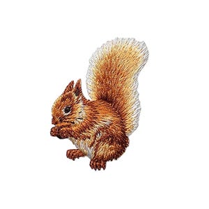 May include: Embroidered iron-on patch of a brown squirrel with a bushy tail. The squirrel is holding a nut in its paws.