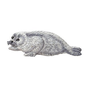 Realistic Harp Seal, Gray/White, Embroidered, Iron on Patch