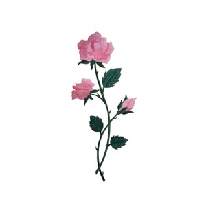 May include: A pink rose with green leaves and a bud on a white background.