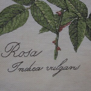 Antique Rose Cross Stitch Pattern Needlepoint Pattern Embroidery Design ...