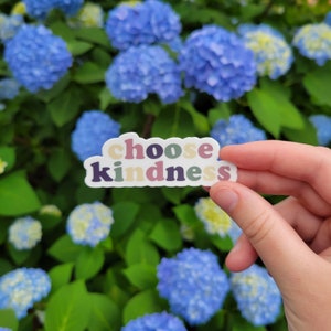 Choose Kindness Sticker: Waterproof Vinyl Laptop Decal