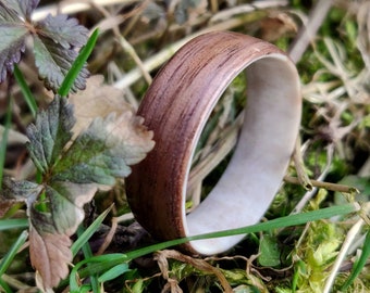 Eastern Black Walnut and Antler ring, Bent wood ring