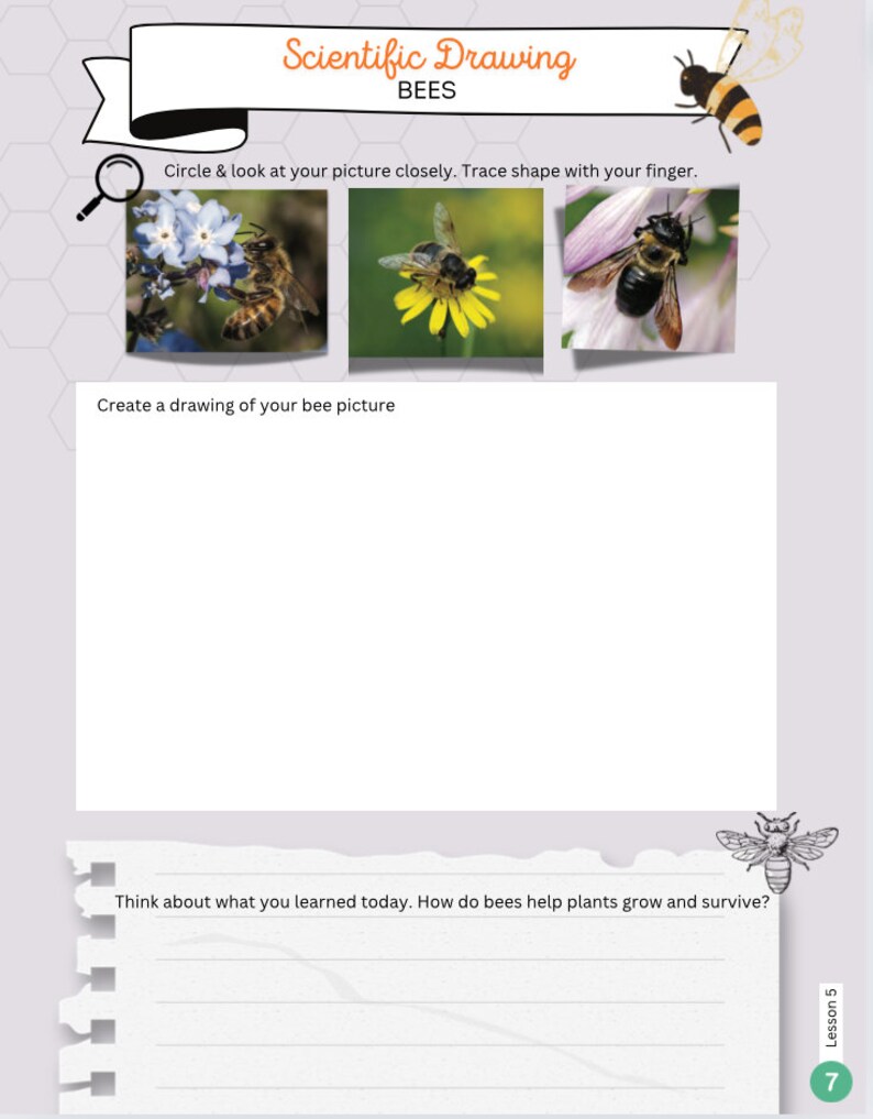 EL Education. Grade 2. Module 3: Unit 2- Plants & Pollinators Notebook ...