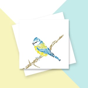 Cartão de felicitações Blue Tit - em branco por dentro - sem plástico