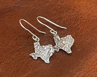 Western Texas Shaped Earrings