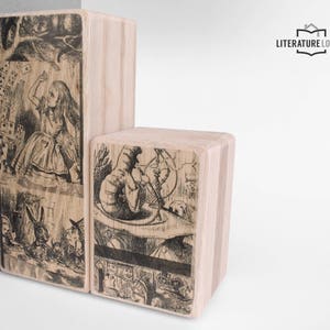 Literary Bookend: Alice's Adventures in Wonderland (Lewis Carroll)