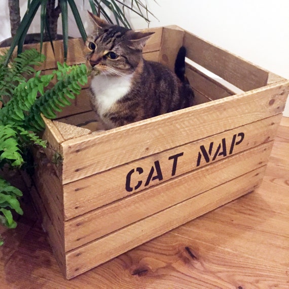 crate cat bed