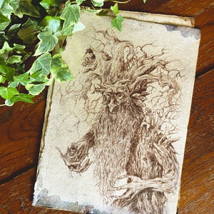 May include: A detailed pen and ink drawing of a tree spirit, with a gnarled, twisted trunk and branches, and a face with a long beard. The drawing is on a textured, off-white paper.
