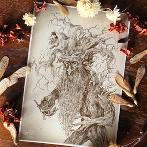 Treebeard and the Hobbits - Paper Print - Wall Art Decor - Lord of the Rings - Nature Fantasy art