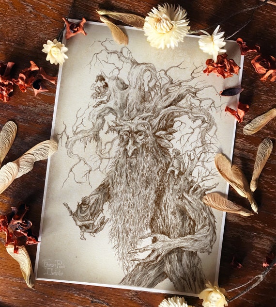 Treebeard and the Hobbits Paper Print Wall Art Decor Lord of the  Rings Nature Fantasy art