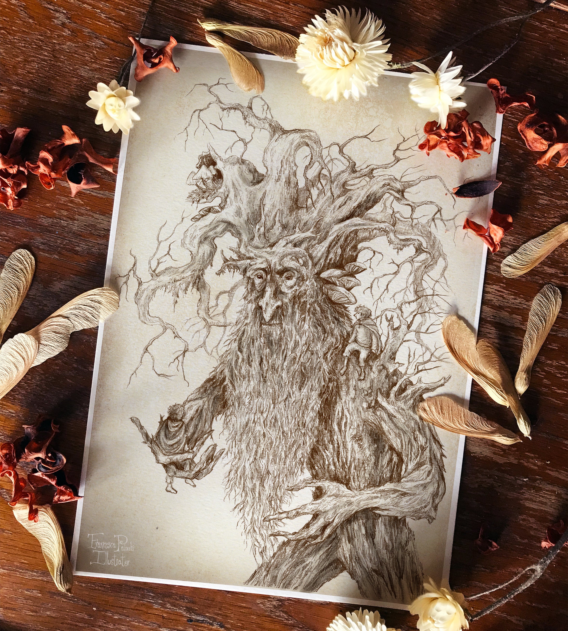 Treebeard and the Hobbits - Paper Print - Wall Art Decor - Lord of the Rings - Nature Fantasy art