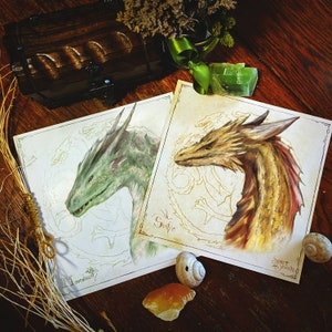 May include: Two illustrated dragon prints with the names "Moonbounce" and "Swaftie" printed below each image. The dragons are drawn in a realistic style with detailed scales and a light background.