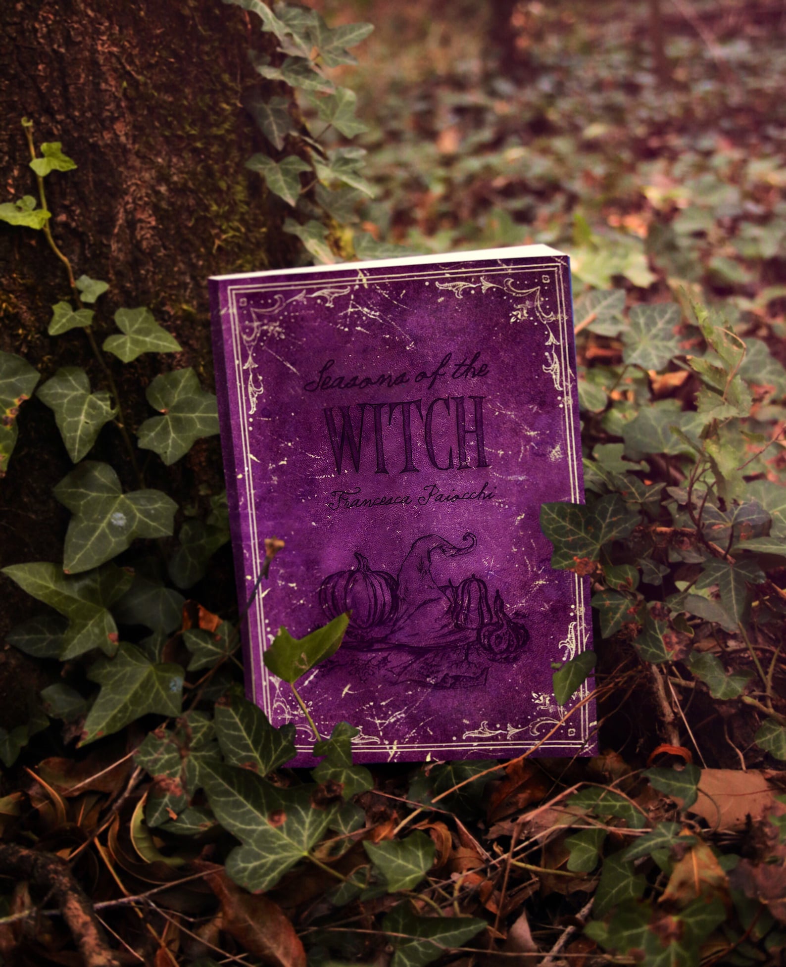 Seasons of the Witch Artbook - Etsy