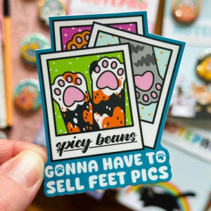 May include: A sticker with a colorful illustration of a cat's paws in a photo frame. The text "spicy beans" is written below the photo frame. The text "gonna have to sell feet pics" is written below the photo frame in a blue banner.