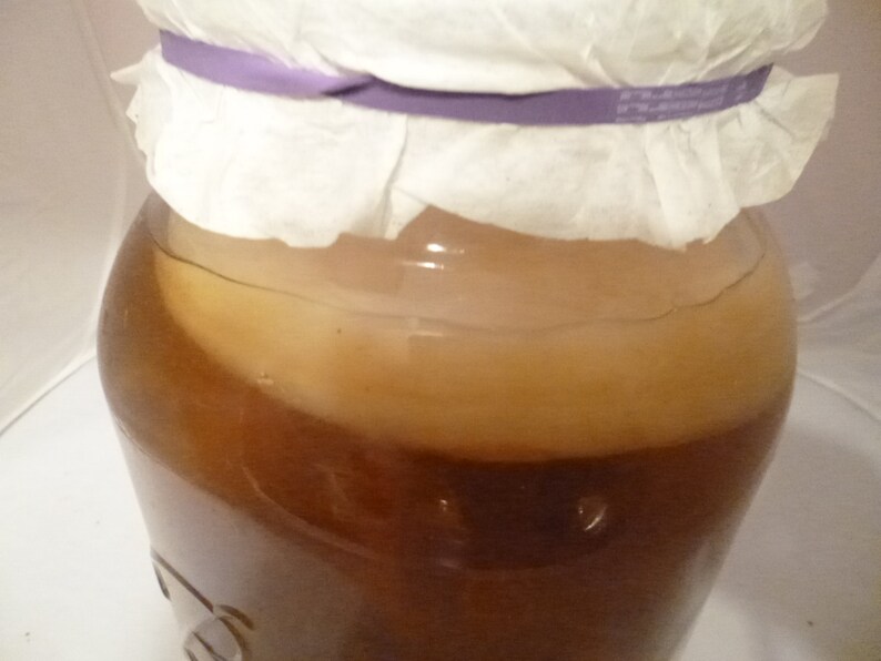 Black Tea Kombucha Vinegar, Kombucha, Probiotic, Fermented Tea, Tea