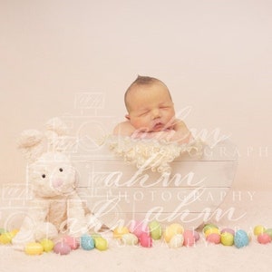 DIGITAL Newborn Easter Bunny and Egg Newborn Backdrop. One of a kind Prop!