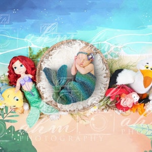 Little Mermaid Ariel Princess Newborn Digital Backdrop Bowl Top View Composite Background Girl Infant Bed Party Invitation Pet Photography