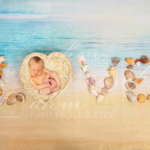 Newborn Digital Backdrop Beach Ocean LOVE Seashell Heart Bowl Mermaid Composite Background Sale