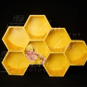 Newborn digital Backdrop / Boy / Girl / Baby / Beehive / Bee / Honey Comb / Hunny / Backdrop / Composite / Instant Download