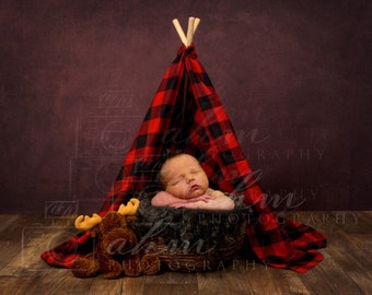 Newborn Digital Backdrop Boy Woodland Buffalo Plaid Camping Moose Animal Tent Tepee Composite Baby Girl Sale