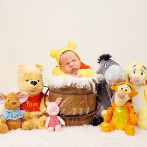 Newborn Digital Backdrop Pooh Bear Winnie Sitter 2 Pack Baby Boy Girl Hunny Honey Bee Composite Background Sale