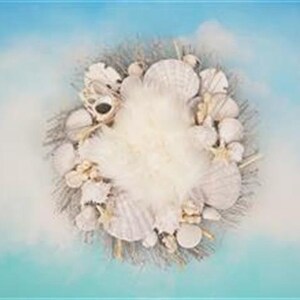 Beach Seashell Newborn Digital Backdrop Ocean Wreath Above Top - Etsy