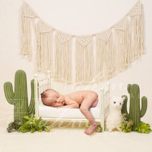 Llama Boho Desert Cactus Bed Newborn Digital Backdrop Girl Boy Composite Background Sale