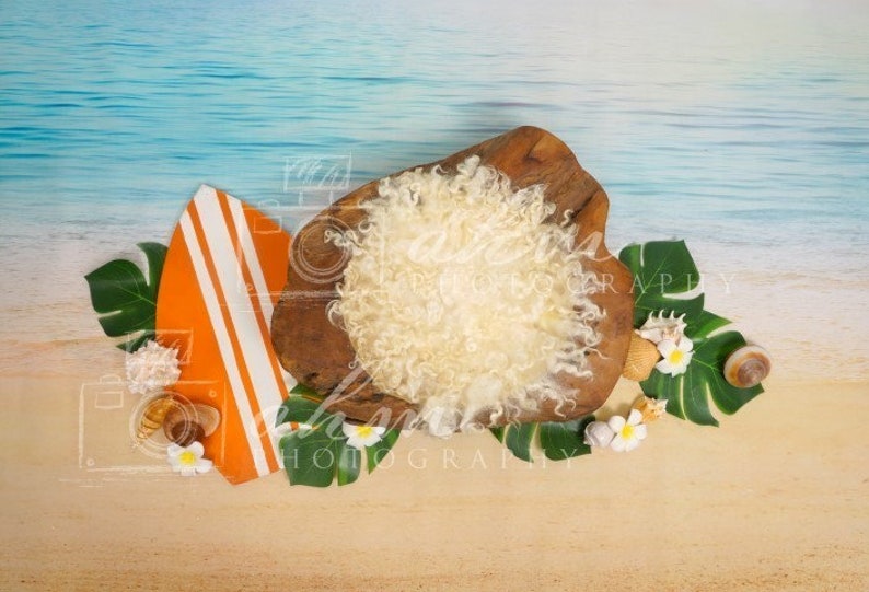 Puede incluir: Un conjunto de accesorios de fotograf&iacute;a para reci&eacute;n nacidos con un cuenco de madera, piel sint&eacute;tica blanca, una tabla de surf y hojas tropicales. El cuenco est&aacute; lleno de piel sint&eacute;tica blanca y est&aacute; rodeado de hojas verdes, una tabla de surf y conchas.