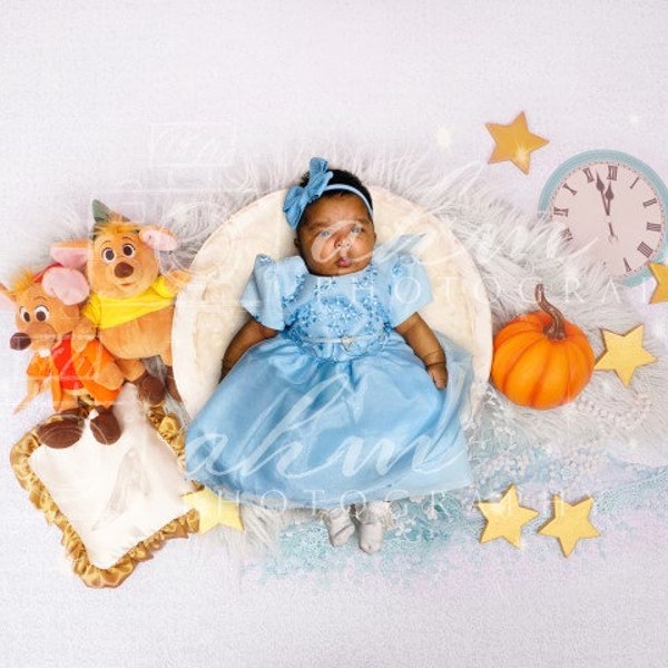 Newborn Digital Backdrop Cinderella Princess Overhead Above Wreath Fairy tale Magic Glass Slipper Girl Baby Prop Sale