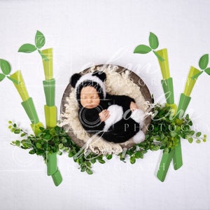 Panda jardim bambu recém-nascido cenário digital menino menina infantil bebê composto fundo venda
