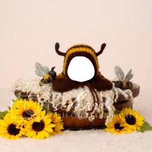 Newborn Digital Backdrop Sunflower Bee Face Insert Baby Boy Girl Floral Garden Summer Composite Background Sale