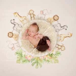 May include: A newborn baby sleeping in a white fur-lined basket surrounded by a circle of watercolor animal illustrations, including a giraffe, zebra, monkey, elephant, and lion.