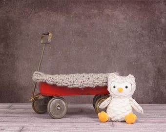 Digital Newborn Backdrop Wagon and Owl. One of a kind prop!