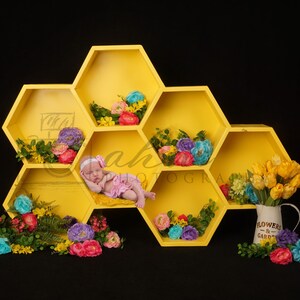 Newborn Digital Backdrop Bee Honey Comb Hunny Floral Girl Baby Composite Background Sale